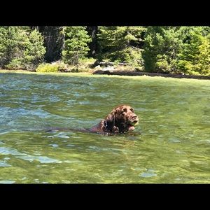 Meet your Posher, Jackie